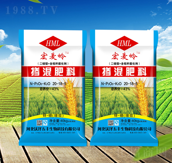 �������20-18-5-�֝����S