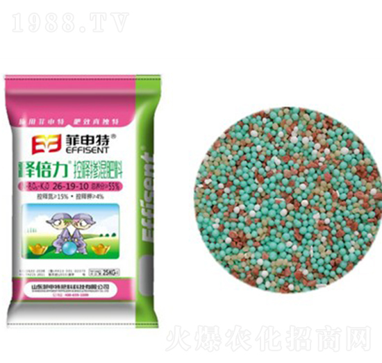 ��ጓ������26-19-10-ጱ���-������