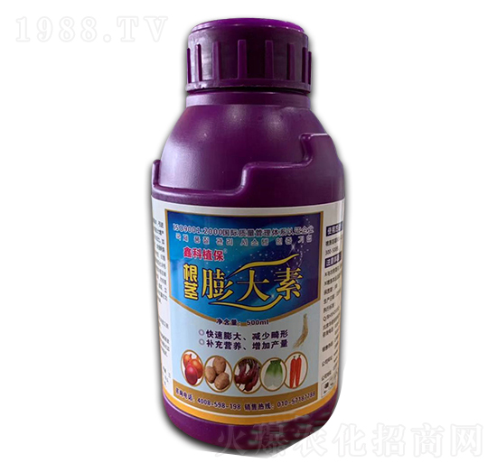 500ml���o�����-�ο�ֲ��