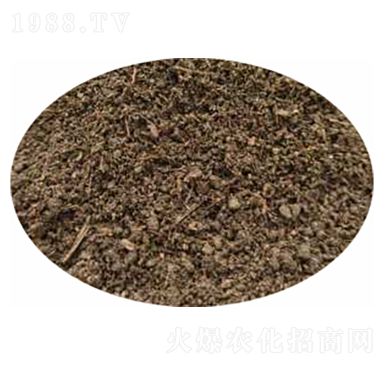 �l(f��)����S-�G퍷ʘI(y��)