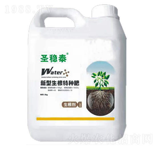 ʥ��(w��n)̩���������طN��-����r(n��ng)��