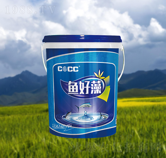 �~(y��)����-�к�����