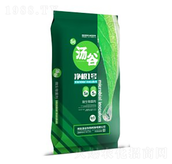 40kg΢�������-����1̖-��������