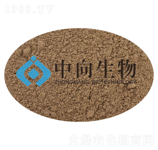 ����ѿ�ߗU��-��������