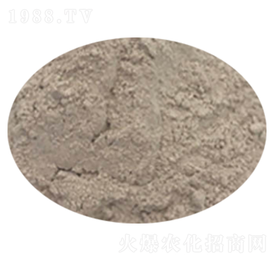 ���߰׽���-��������