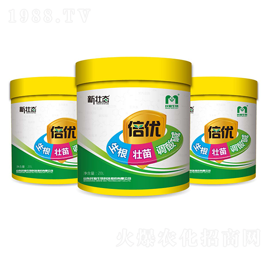 ����(y��u)-�ёB(t��i)-�������