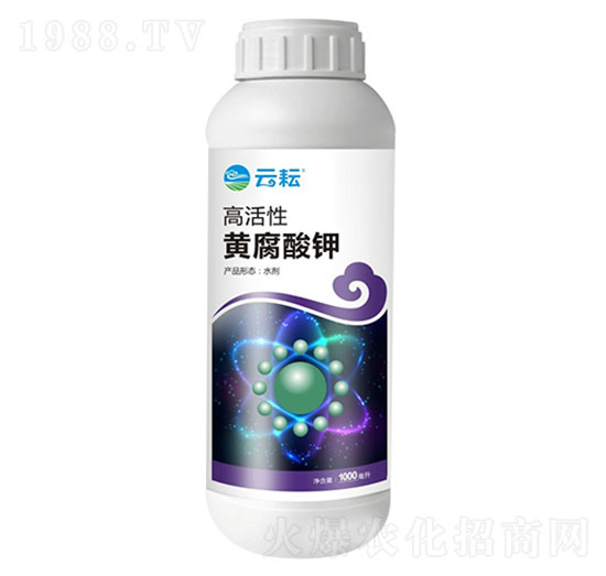 �߻����S�����-����