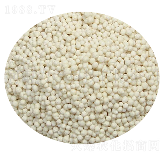 �����}���X��-�����Ƽ�