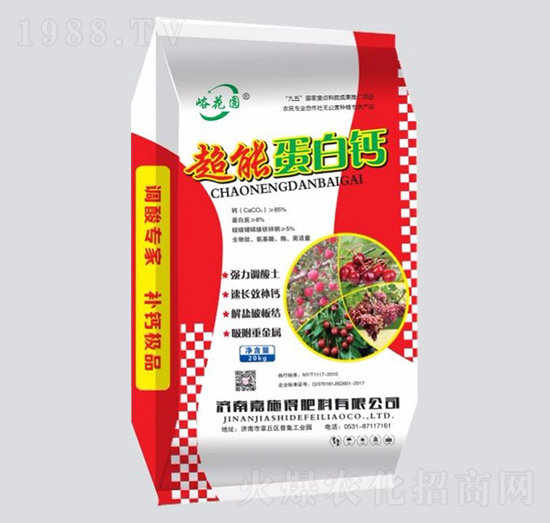 ���ܵ����}-�����A-��ʩ��