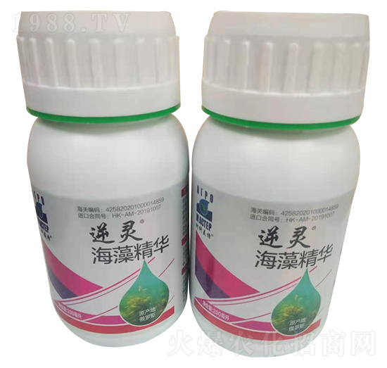 ���徫�A-���`-������(l��)