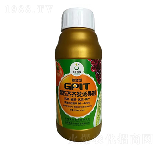 GPlT�����R�R�l(f��)�T����-�Wʥ�r�I(y��)