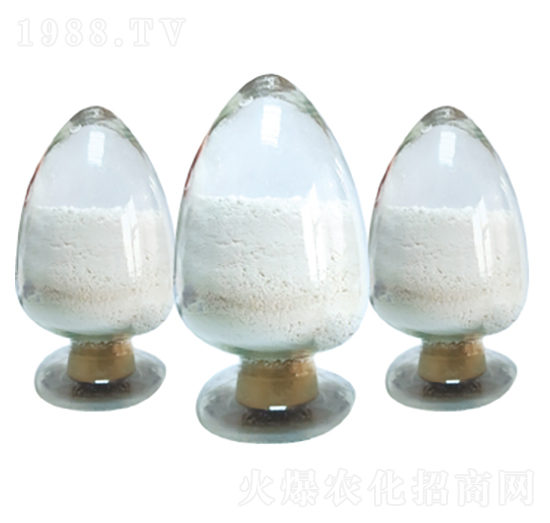 ����(chu��ng)3̖��2%��ʮ�鴼��ۣ�-����(chu��ng)����