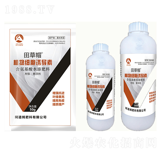 ֲ�：���T����-���ñ-����ķ