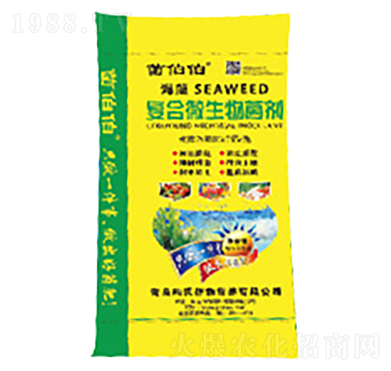 �ͺ�΢�������-������-��������