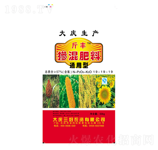 ͨ���͓������19-19-19-�|�S