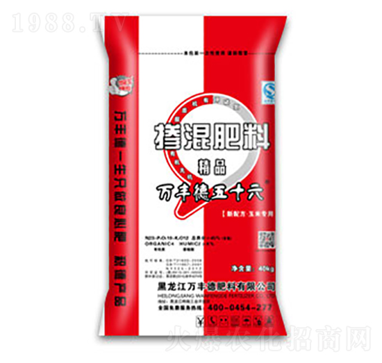 ���׌��Ó������23-10-12-�f�S��