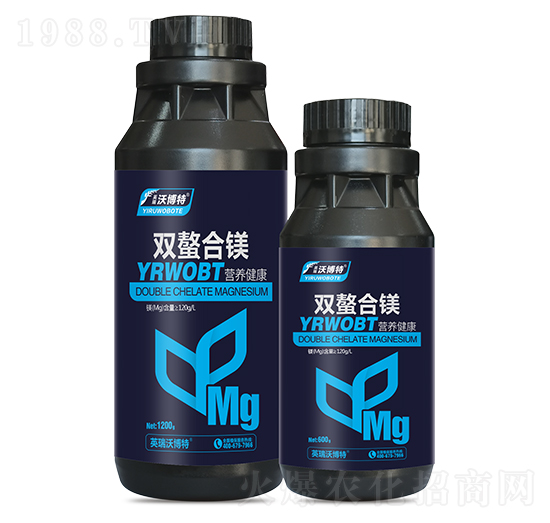 �p�����V-Ӣ���ֲ���