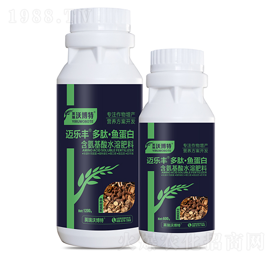 ��ˎ��������ġ��~(y��)����-�~��(l��)�S-Ӣ���ֲ���