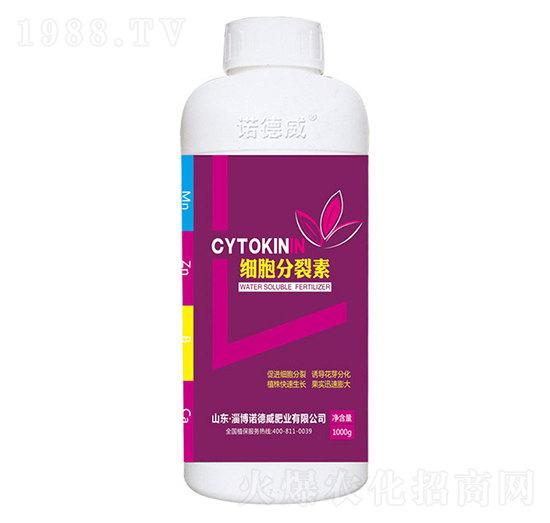 ����������-�Z����