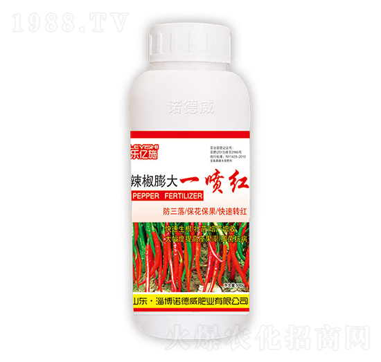 �������һ���t-�Z����