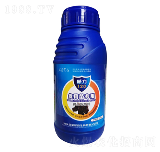 ʳ�þ���(zhu��n)��-����120-���_(t��i)