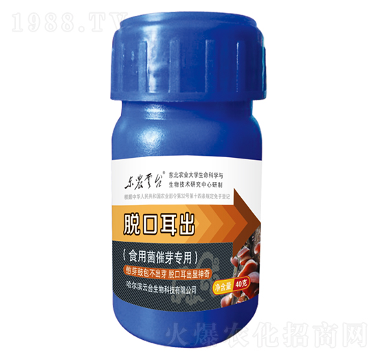 ʳ�þ���ѿ����-Ó�ڶ���-���_