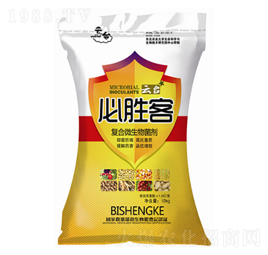 ��(f��)��΢�������-�؄ٿ�-���_(t��i)