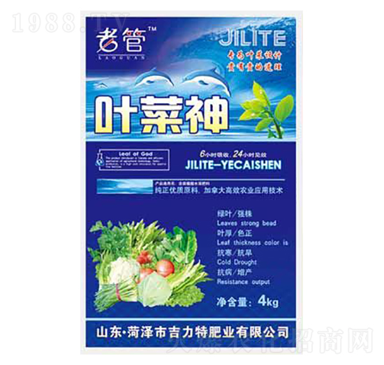 �~����-�����طʘI(y��)