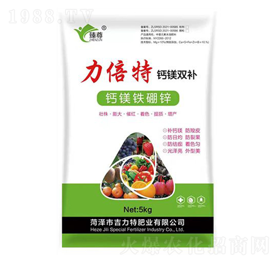 �������}�V�p�a-�����طʘI(y��)