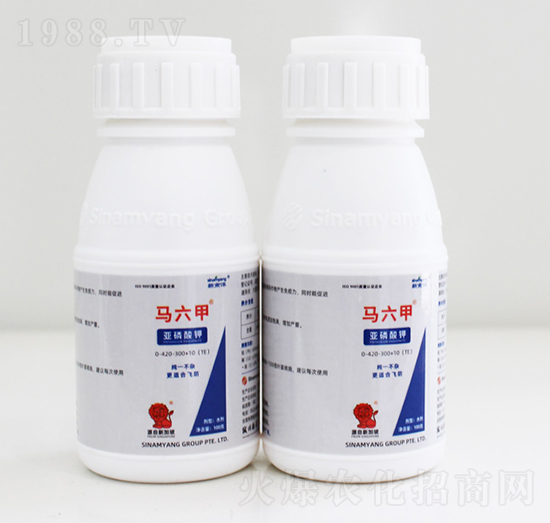 �R���ׁ������-Сħ��