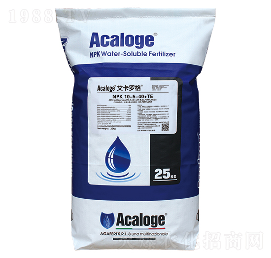 �����_��10-5-40+TE-���L