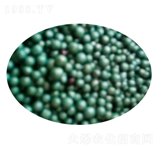 ��֬�����ЙC(j��)��-ʢ���Ƴ�