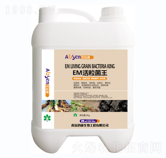 EM��������-��������