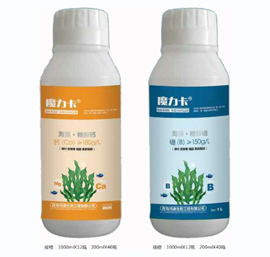 ���塤�Ǵ��}+���塤�Ǵ���-��������