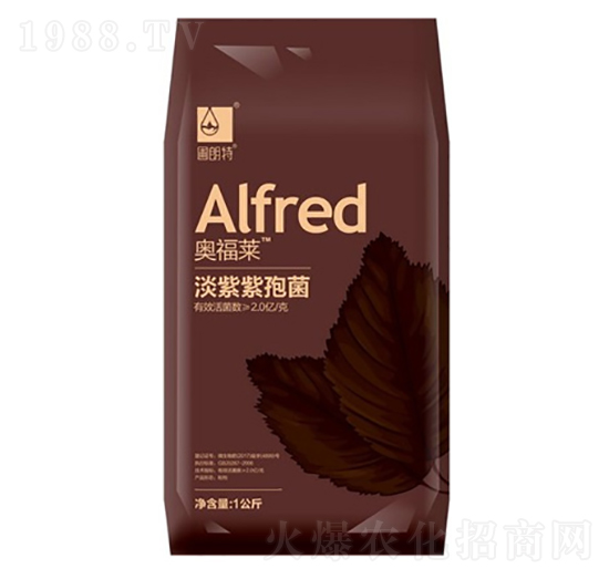 �������߾�-�W���R-������