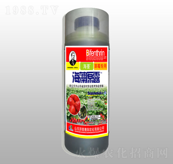 500ml�V�V�ͺ���ԭ¶-ِ�(y��ng)����