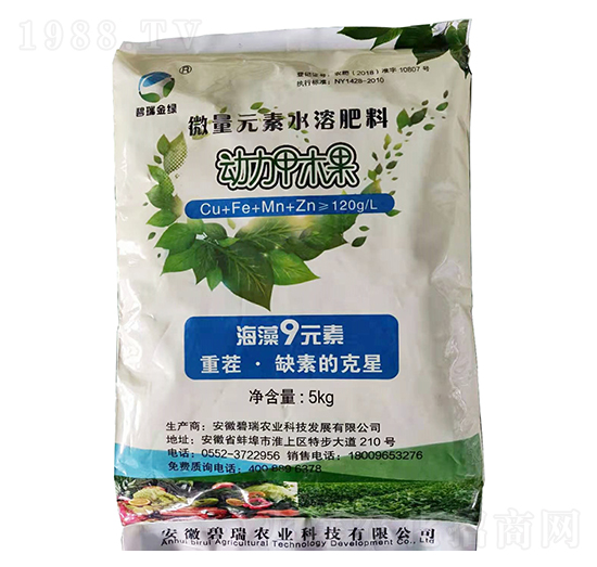 ������ľ��-�A�r�r�I(y��)