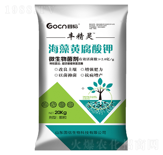 �����S�����-��������