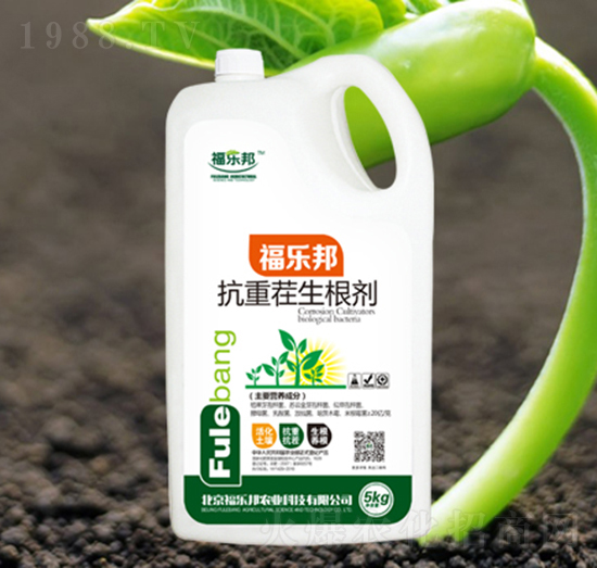 ���ز�������-����(l��)��