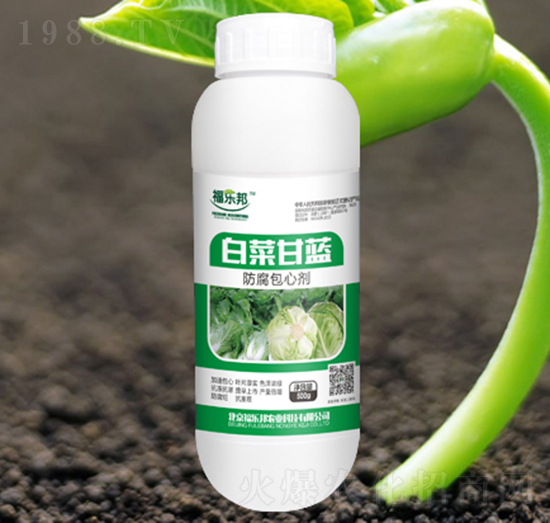 �ײ˸��{(l��n)�������Ą�-����(l��)��