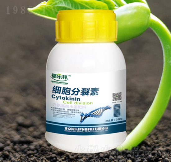 ��(x��)��������-������