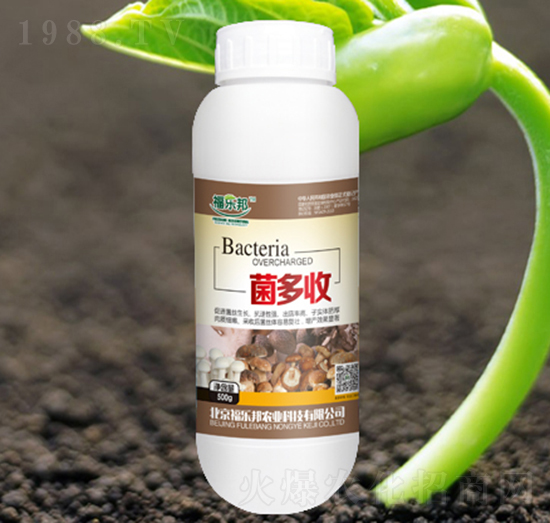 ������-����(l��)��