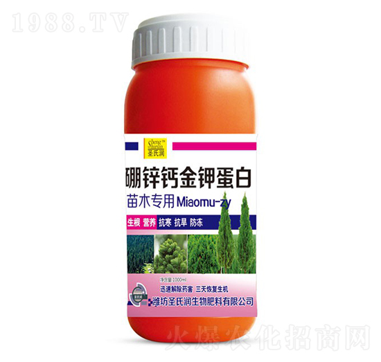 ���\�}��⛵���-ʥ�ϝ�