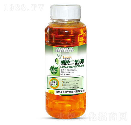 ��������-ʥ�ϝ�(r��n)