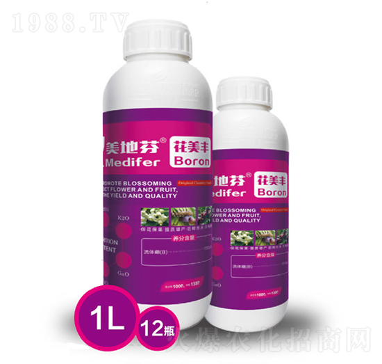 ���طһ����S-���