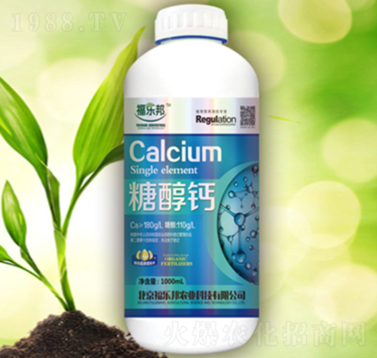 �Ǵ��}-������