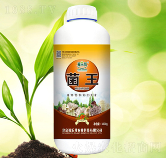 ����-������