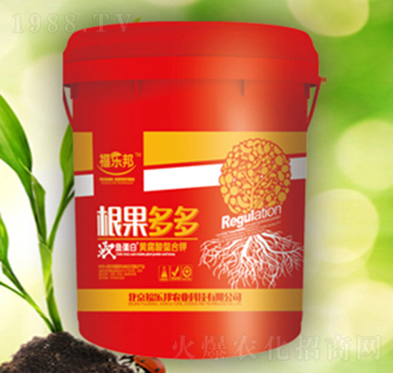 �������-����(l��)��