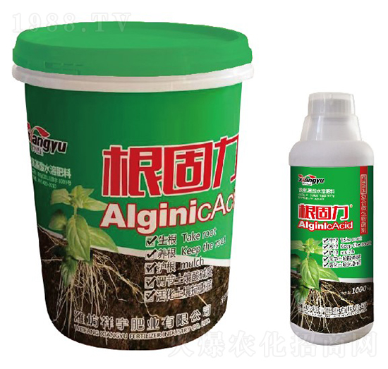 �ͺ�΢�������-������-����ʘI(y��)