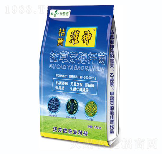 �ݲ�ѿ�ߗU��-���S����-�ַ�z